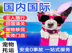 喀什徕宁航空托运国际宠物托运 【国